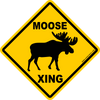 Moose Crossing Novelty sign 12"x12"